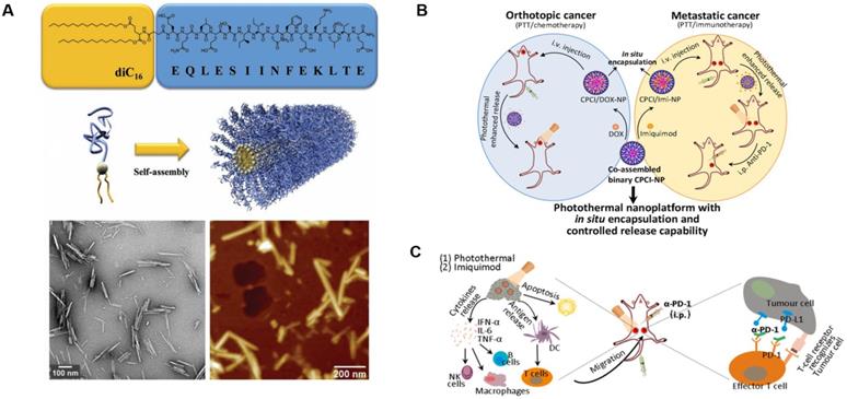 Theranostics Image