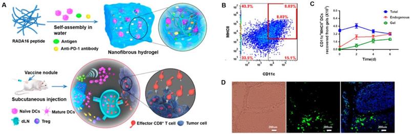 Theranostics Image