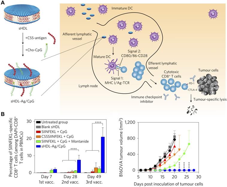 Theranostics Image