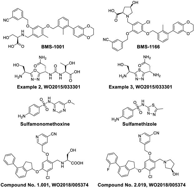 Theranostics Image