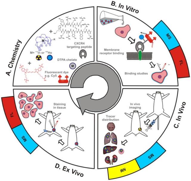 Theranostics Image