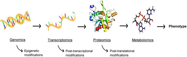 Theranostics Image