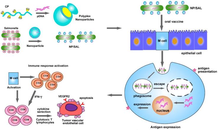 Theranostics Image