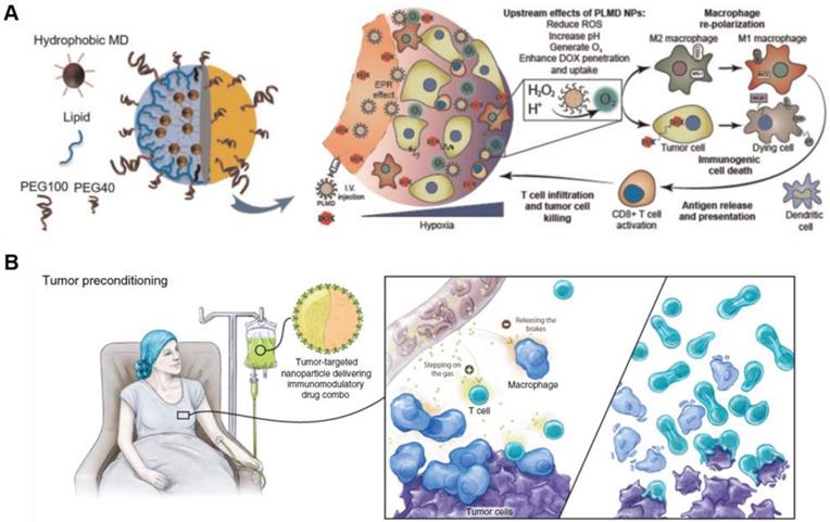 Theranostics Image