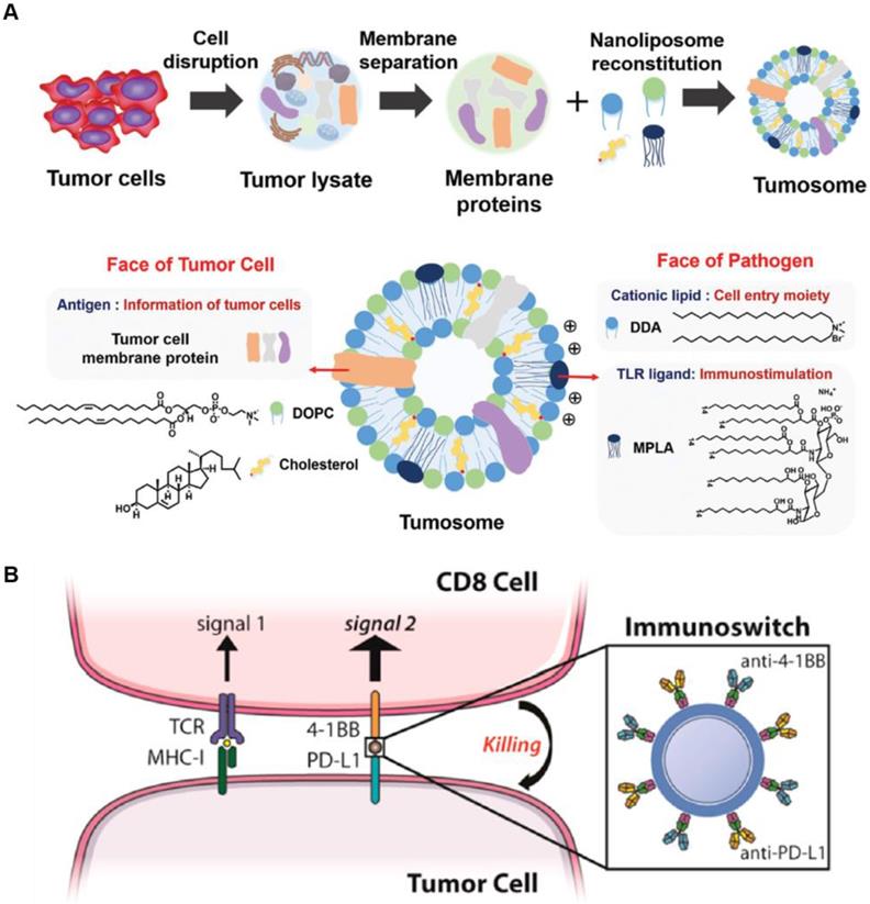 Theranostics Image