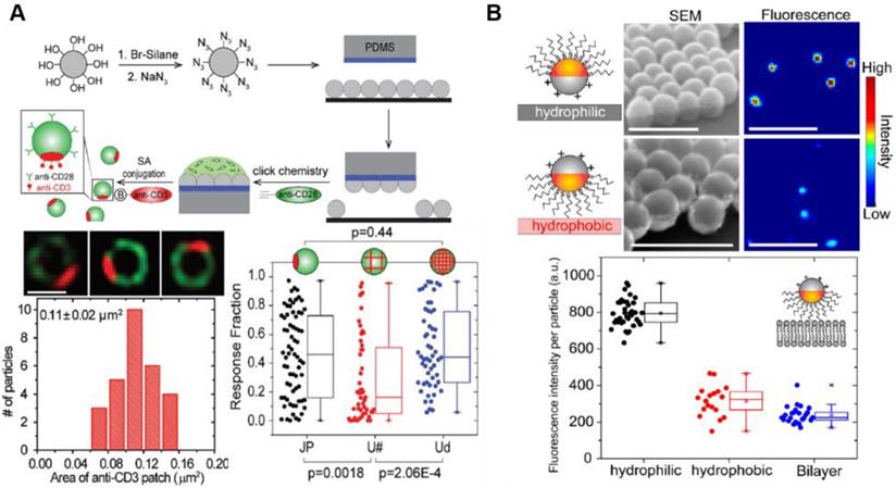 Theranostics Image