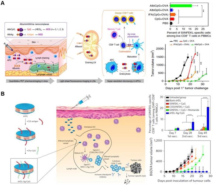 Theranostics Image