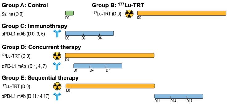 Theranostics Image