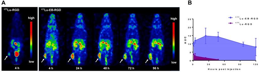 Theranostics Image