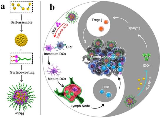 Theranostics Image