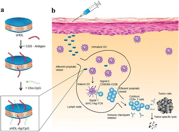 Theranostics Image