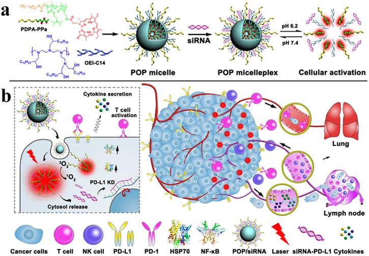 Theranostics Image