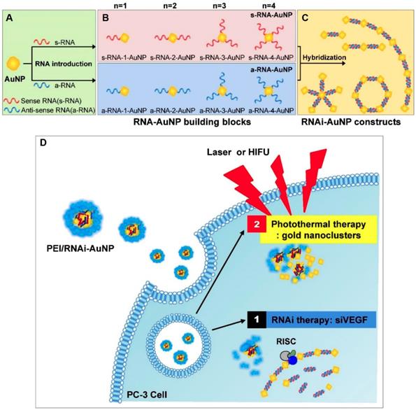 Theranostics Image