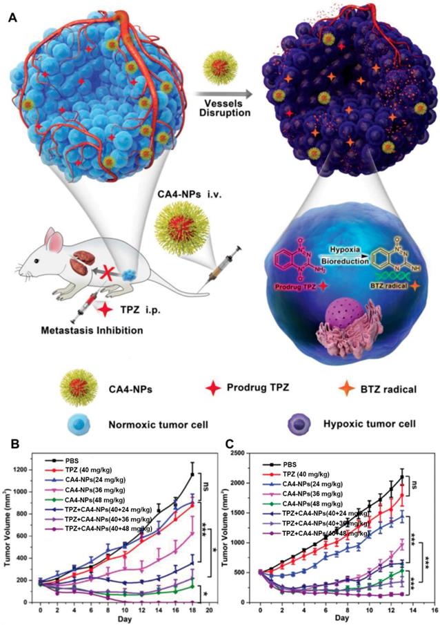 Theranostics Image