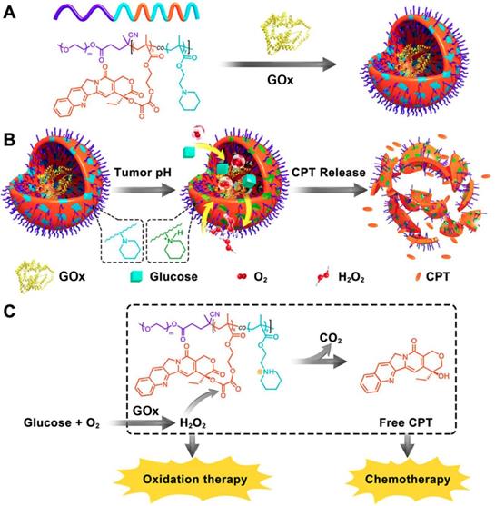 Theranostics Image