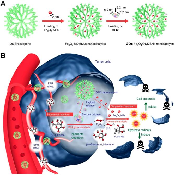 Theranostics Image