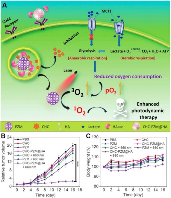 Theranostics Image