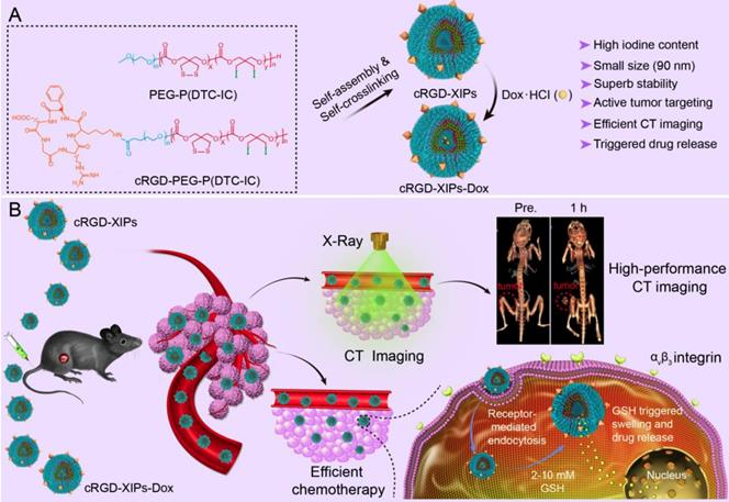 Theranostics Image