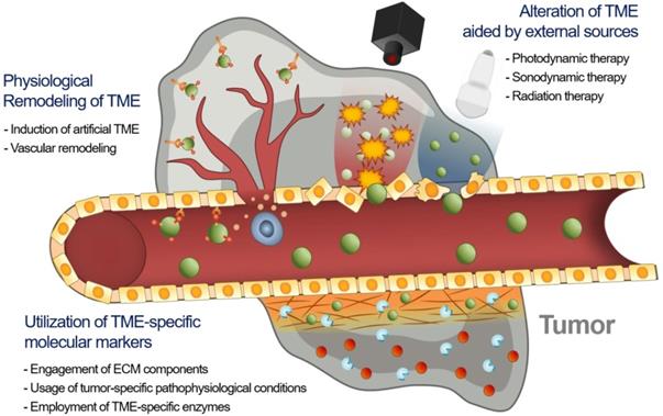 Theranostics Image