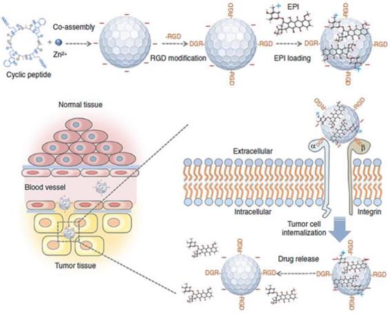 Theranostics Image