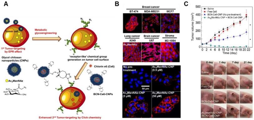 Theranostics Image