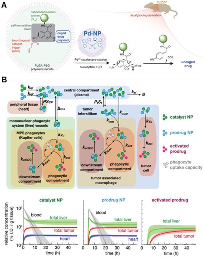 Theranostics Image