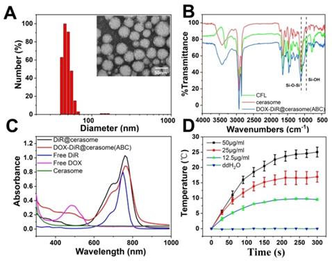 Theranostics Image