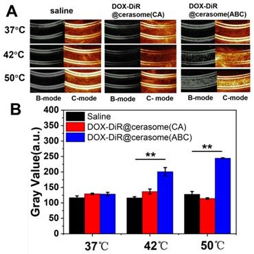 Theranostics Image