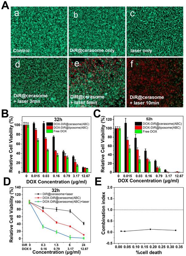 Theranostics Image