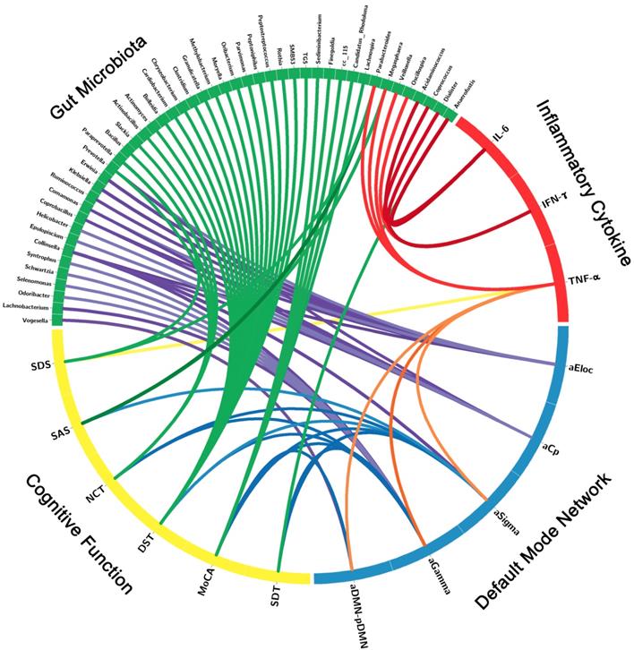 Theranostics Image