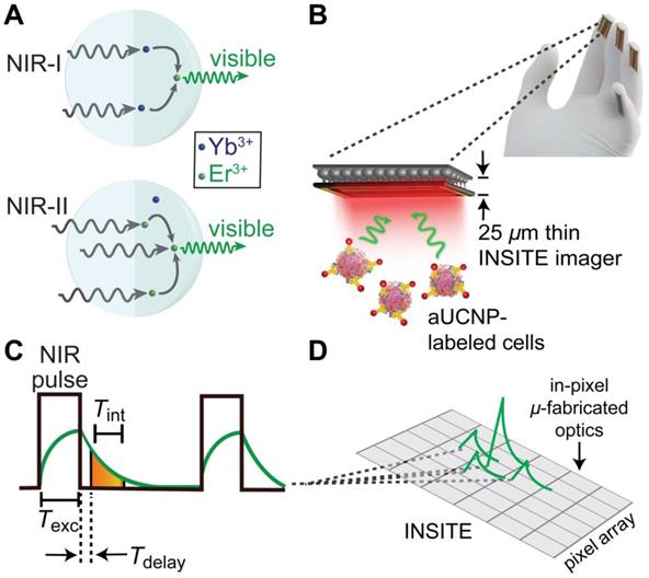 Theranostics Image