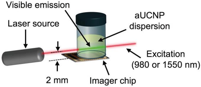 Theranostics Image