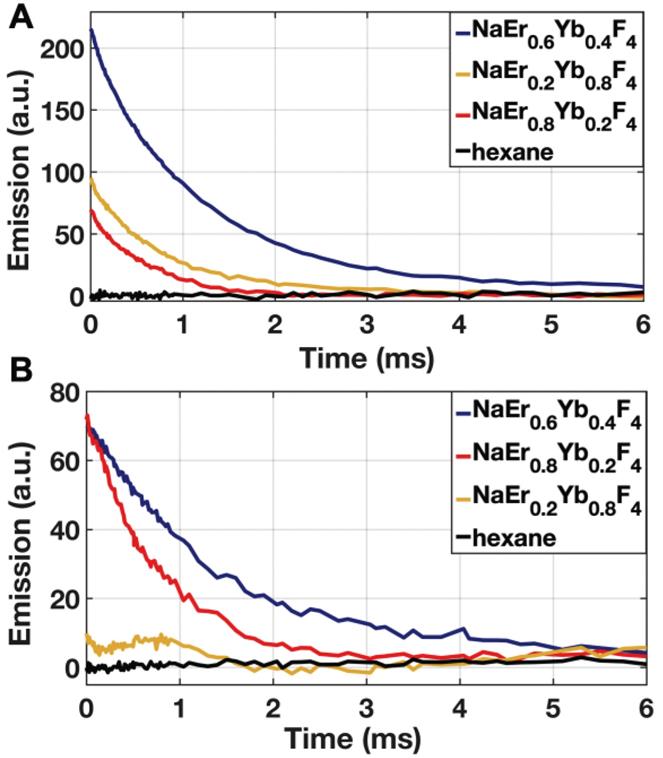 Theranostics Image