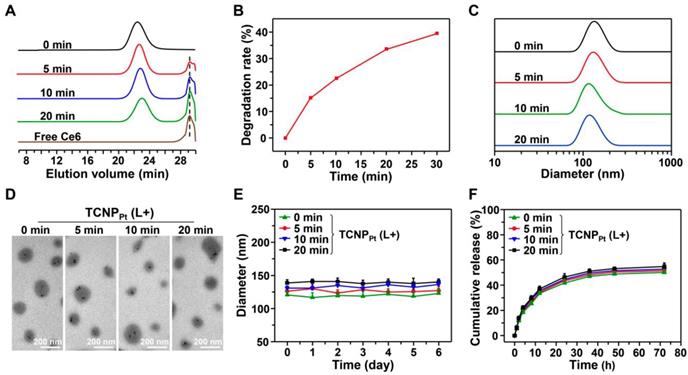 Theranostics Image