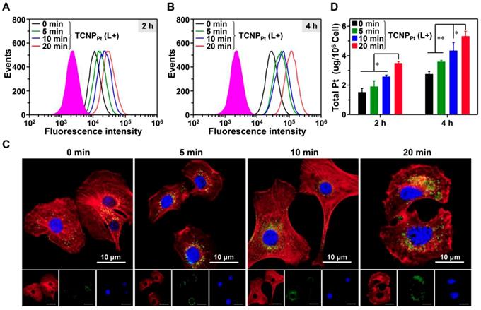 Theranostics Image