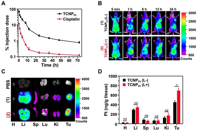 Theranostics Image