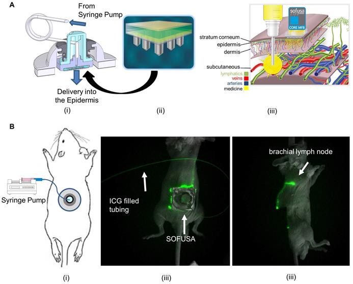 Theranostics Image