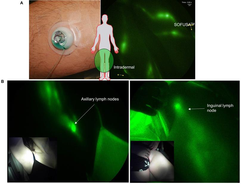 Theranostics Image