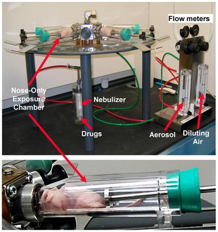 Theranostics Image