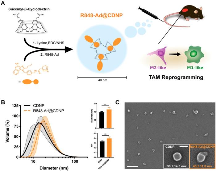 Theranostics Image