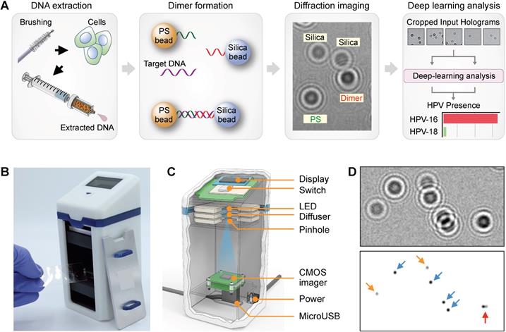 Theranostics Image