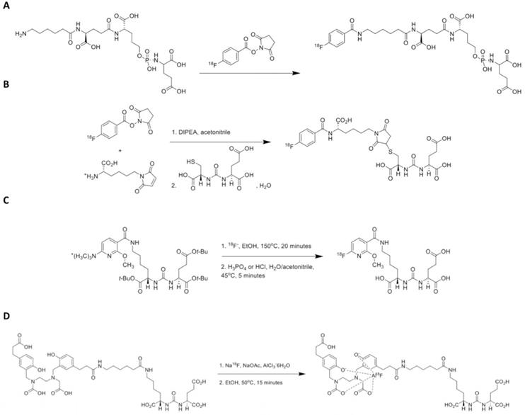 Theranostics Image