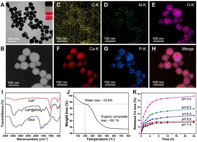 Theranostics Image