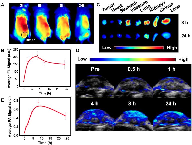 Theranostics Image