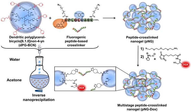 Theranostics Image