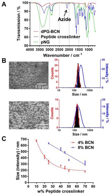 Theranostics Image