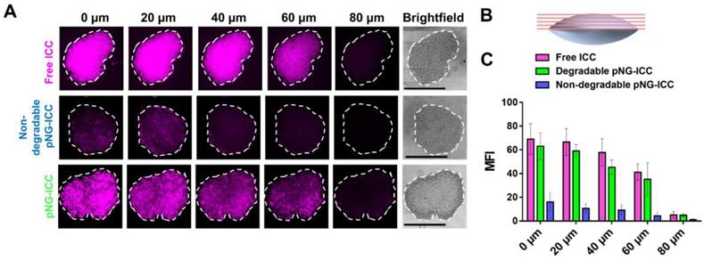 Theranostics Image