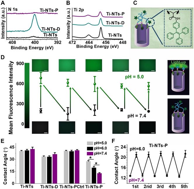 Theranostics Image