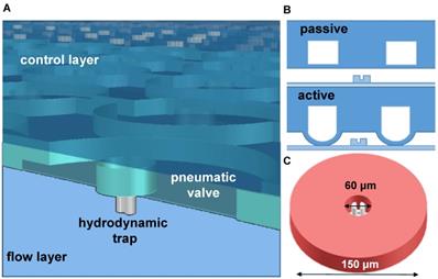 Theranostics Image