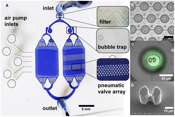 Theranostics Image